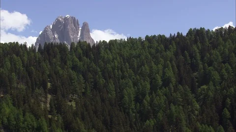 Aerial of train running through forest trees, Forest in foreground and towering Stock Footage 109154477