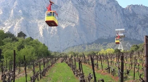 Aerial tramway over vineyard. Vídeo Stock 49814809