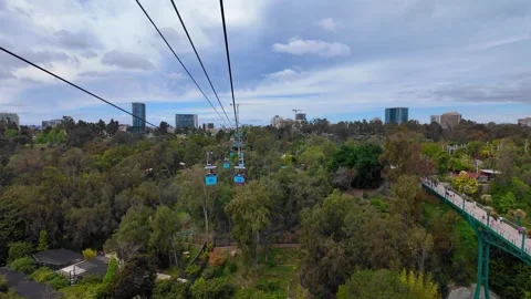 Aerial tramway transporting people over the San Diego Zoo with the city skyline Stock Footage 339974108