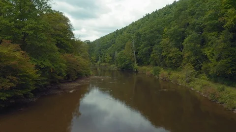 Aerial: Tranquil river and forest. Allegheny National Forest, Pennsylvania, USA Stock Footage 125882445