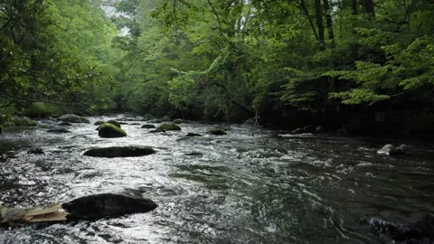 Aerial: Tranquil river and forest. Smoky Mountains, Tennessee, USA Vidéo 149244232