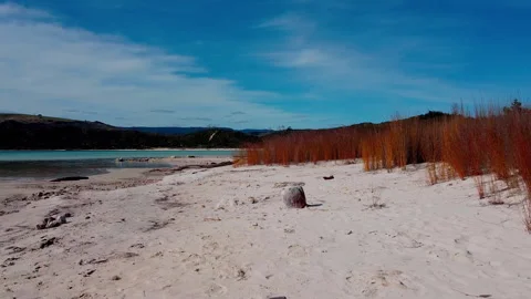 Aerial Tranquility: Drone View of Lake from Sandy Shore Stock Footage 250141086