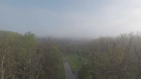 Aerial Tree Flyover through Park Stock Footage 93754026