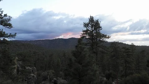 Aerial of tree forest with cloudy sky and hills, Barichara, Colombia Stock Footage 135301346