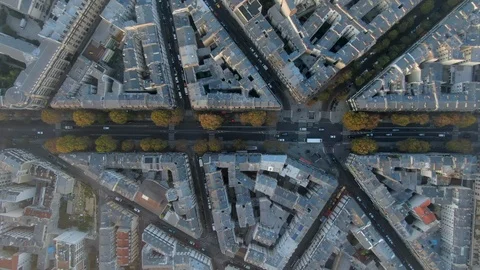 Aerial of Tree-Lined Avenue Among Angled City Blocks in Paris, France Stock Footage