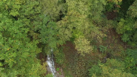 Aerial tree river Video stock 148557863