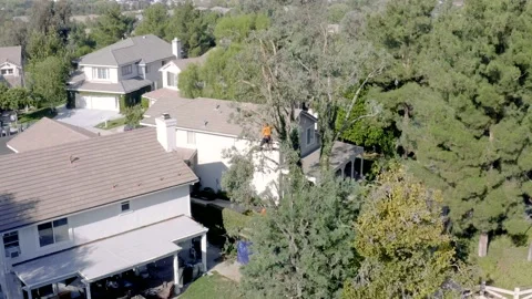 Aerial of Tree Trimming Stock Footage 139655032