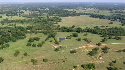 Aerial of trees and small pools on the green landscape on a sunny day Stock Footage 109121538