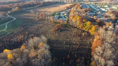 Aerial trees fly over Stock Footage 69788073