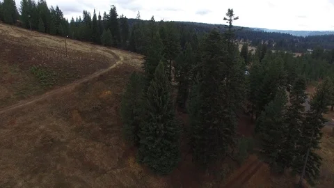 Aerial of Trees in a Forest 4K Stockbeeldmateriaal 86262404