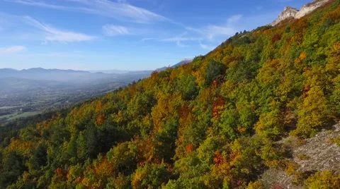 Aerial of trees in forest 스톡 동영상 64345610