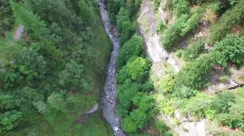 Aerial: Trees In Mountain Valley Stock Footage 58018769