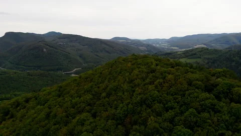 Aerial of trees in mountains Stock Footage 253839492
