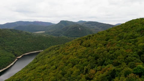 Aerial of trees in mountains Stock Footage 257619655