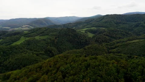 Aerial of trees in mountains Stock Footage 294870779