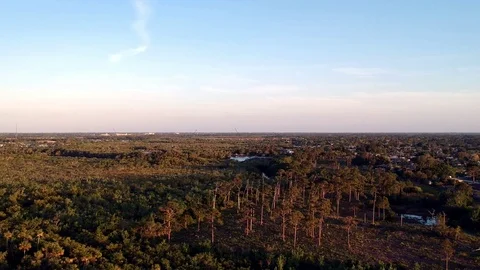 Aerial trees pan to right Stock Footage 88480281