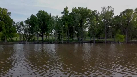 Aerial: Trees by the River Stock Footage 134213545