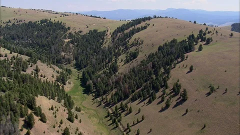 Aerial of trees surrounding mountain path on valley, Flight Over South East Edge Stock Footage 109468659