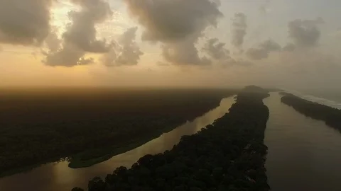 Aerial of tropical forest being split by river delta during sunset in Tortuguero Stock Footage 141251405