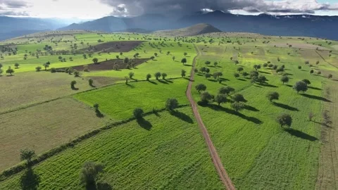 Aerial Turkey farmland patchwork fields - Grass Patterns and Serene Countryside Stock Footage 339568091