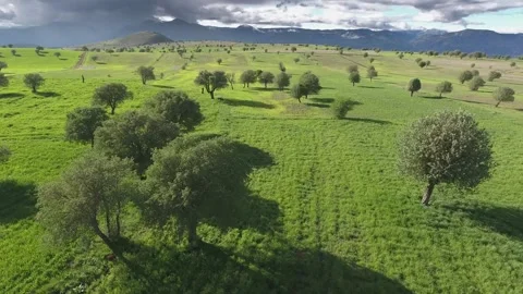 Aerial Turkey farmland patchwork fields hills - Soil Textures and Clouded Skies Stock Footage 339568109