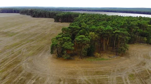 Aerial turning pan shot of trees in field with solar panels Stock Footage 138756516