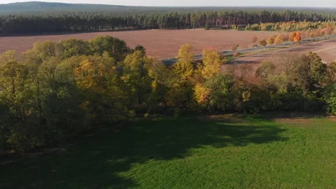 Aerial turning view of trees, road with car and barren fields at daytime Stock Footage 138829555