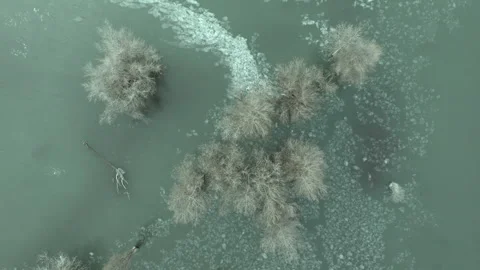 Aerial - Turquoise stream winding between bare trees, ice fragments floating Stock Footage 306711950
