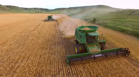 Aerial of Two Combines Cutting Wheat Vídeo Stock 61527315