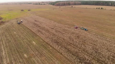 Aerial, two of the crew for harvesting corn Stock Footage 149552227