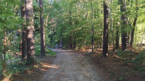 Aerial Two Men Walking Through Forest Duke Forest Durham NC 動画素材 97371388