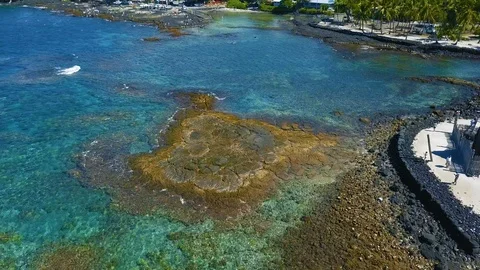 Aerial: Two Step Beach on Big Island Hawaii Vidéo 98523363