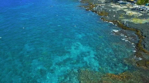 Aerial: Two Step Beach on Big Island Hawaii 스톡 동영상 98533371