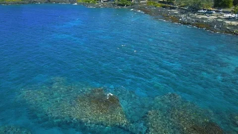 Aerial: Two Step Beach on Big Island Hawaii Vidéo 98546186