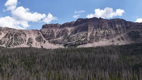 Aerial of Uinta Wasatch Cache National Forest mountains and forest Utah Stockbeeldmateriaal 341959826
