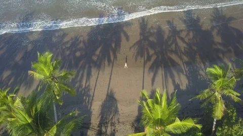 AERIAL: Unrecognizable female in dress walking on sandy beach with palm trees Stock Footage