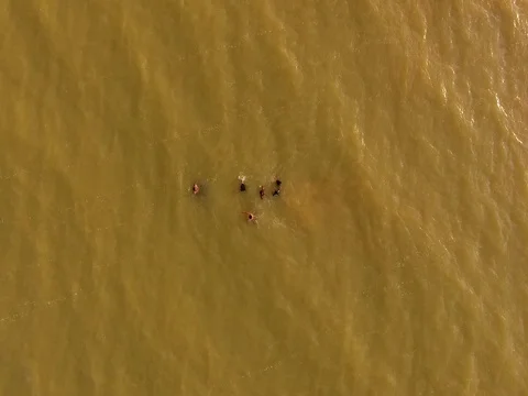 Aerial - Unrecognized people having fun time at the beach Stock Footage 80993789