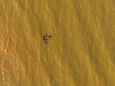 Aerial - Unrecognized people having fun time at the beach Video stock 80993831