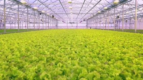 Aerial - Urban farming in greenhouse hydroponics Stock Footage