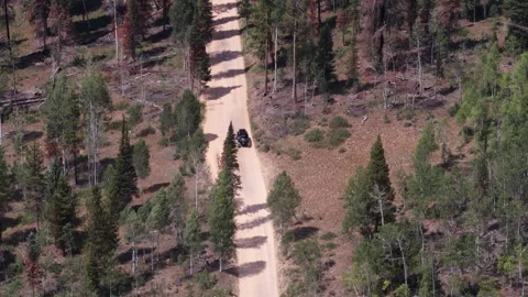 Aerial of UTV off roading on dirt road in Uinta Wasatch Cache National Forest Vídeo Stock 341916378