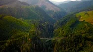 Aerial - Vance Creek Bridge Flyover In Washington Stock Footage