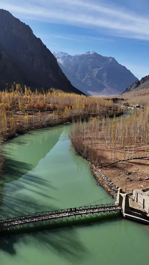 Aerial vertical drone flying over rustic bridge in golden-brown forest. Stock Footage 310662359