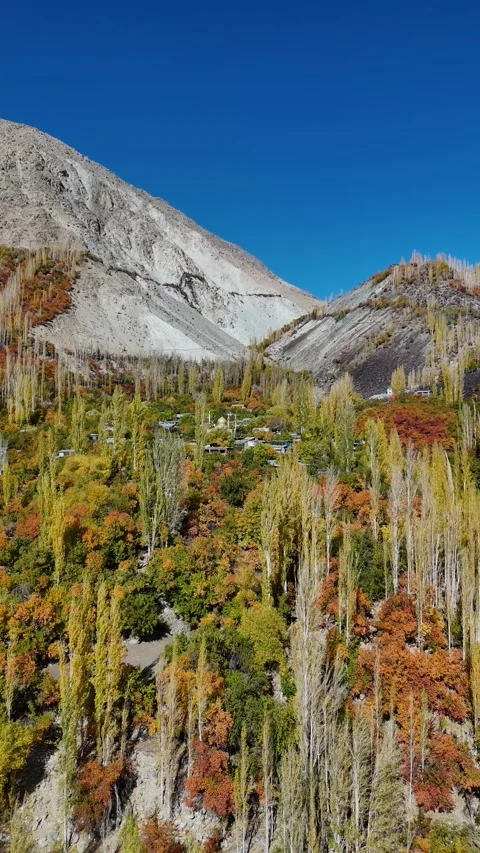 Aerial vertical drone flying over a Ladakhi village glowing in fall colors. Stock Footage 310664577