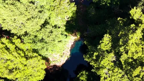 Aerial Vertical Forward flight Over Green Forest Trees Revealing a Hidden D.. Vídeos de archivo 339252266