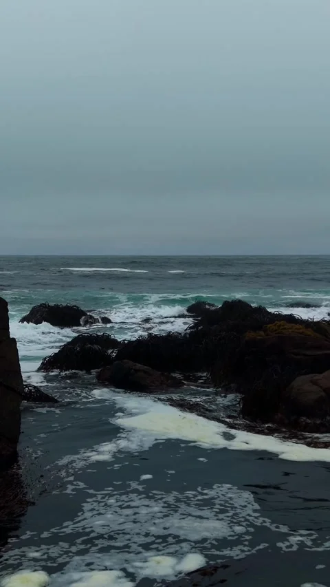 Aerial Vertical Forward Flight from Rocky Seaweed Coast to Open Ocean, Clou.. Video stock 339252234
