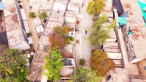 Aerial Vertical Forward Top Down Shot of a Cemetery Pathway and Crypt Roofs.. Stock Footage 339253962