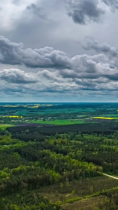 Aerial vertical hyperlapse of vast forest landscape with rapeseed fields and Stock Footage 338160100