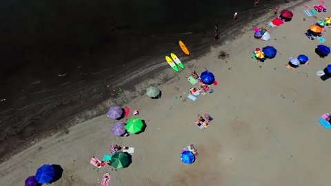 Aerial Vertical Panning Top Down View of People Sunbathing on a Crowded San.. Vídeos de archivo 339252278