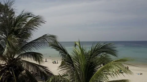 Aerial vertical pano view: Coconut palm trees, beach with white sand and sea Stock Footage 72014787