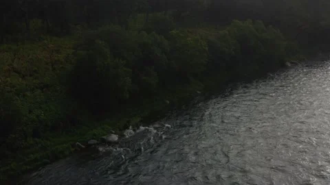 Aerial vertical panoramic landscape of river shore with walking bear, Kamchatka. Stock Footage 163833640
